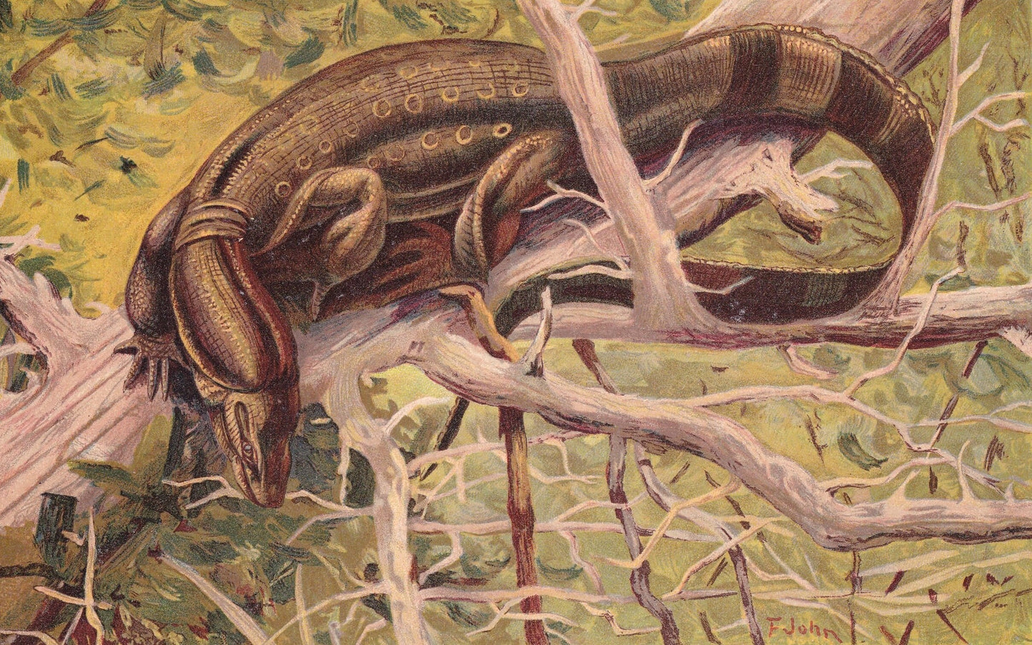 1902 HYDROSAURUS SALVATOR DINOSAUR Print - Antique Dinosaur Print - Paleoart - Dinosaur Wall Art - 121 Years Old - 10.5 x 7.5