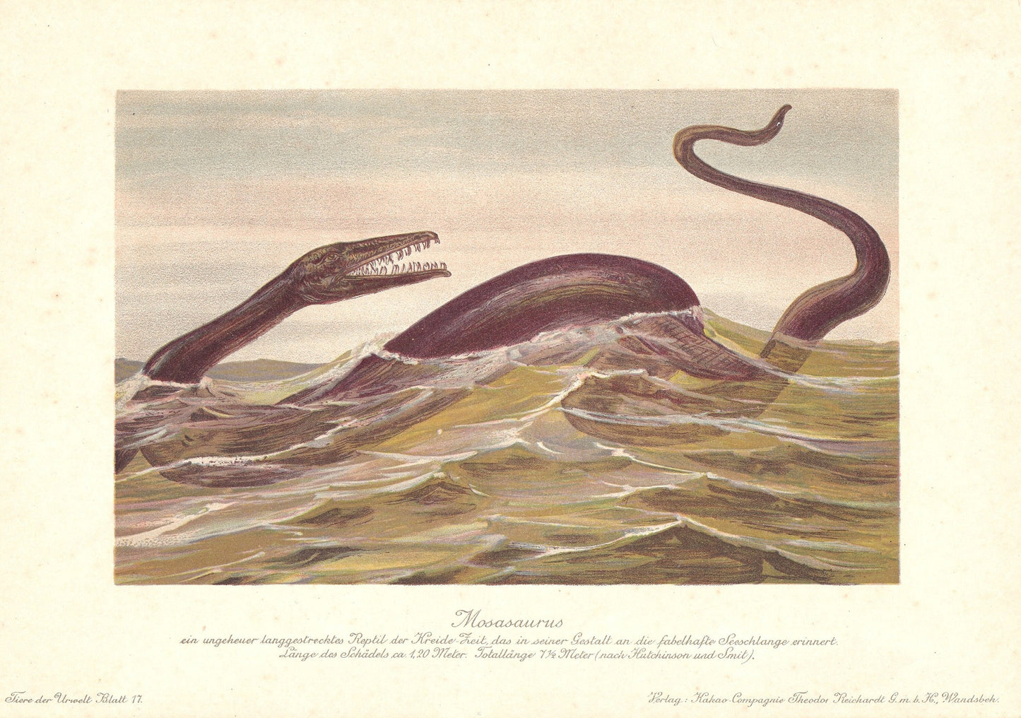 1902 MOSASAURUS DINOSAUR Print - Antique Dinosaur Print - Paleoart - Dinosaur Wall Art - 121 Years Old - 10.5 x 7.5 Inches