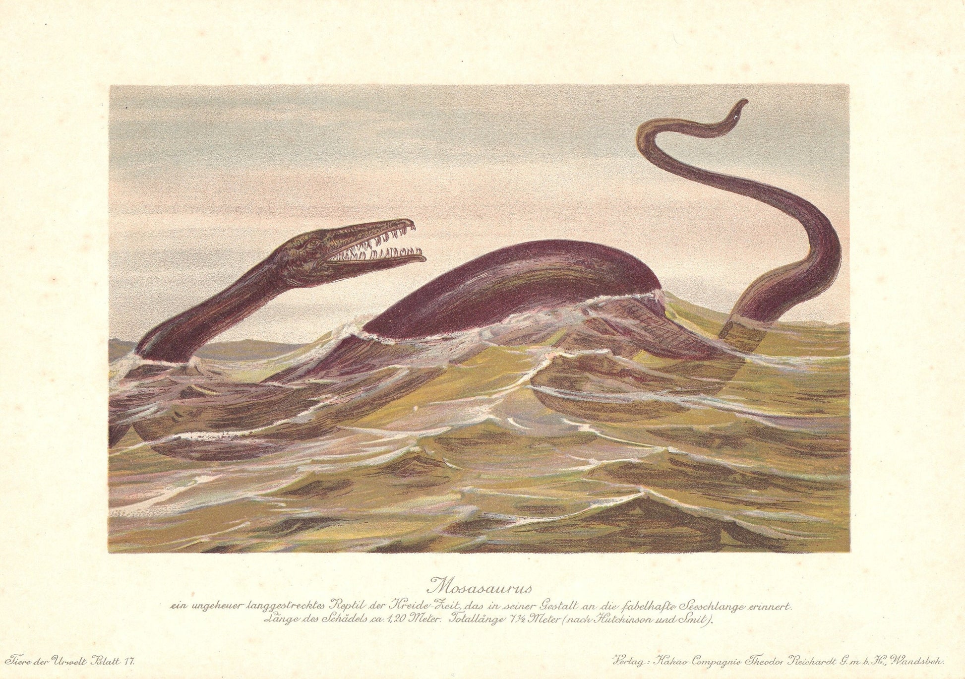 1902 MOSASAURUS DINOSAUR Print - Antique Dinosaur Print - Paleoart - Dinosaur Wall Art - 121 Years Old - 10.5 x 7.5 Inches