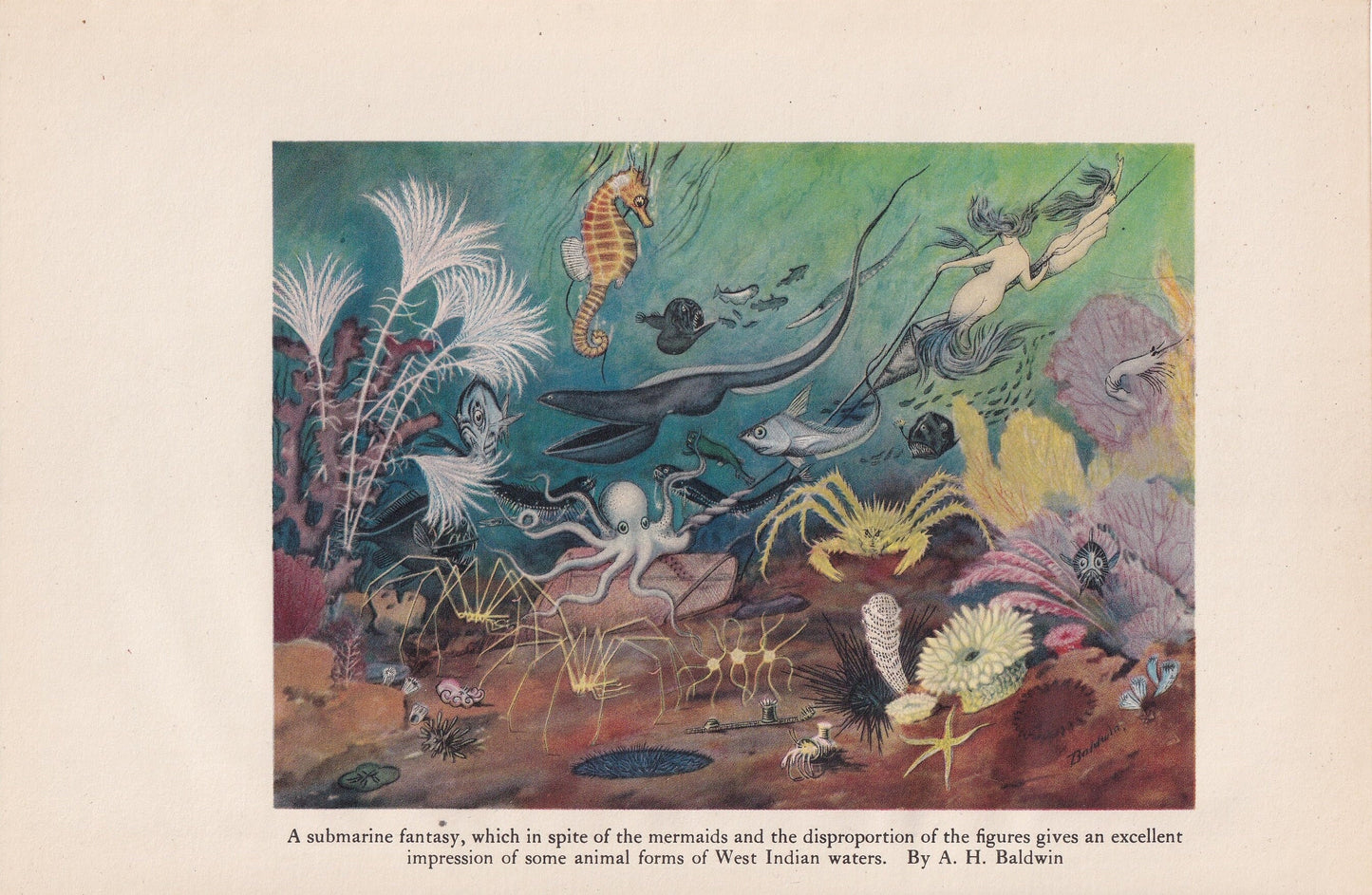 1934 MERMAID Print - Original Vintage Print - Sea Life - Crab, Octopus - Sea Wall Art - Mermaid Wall Art - 89 Years Old - 9.1