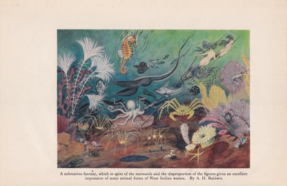 1934 MERMAID Print - Original Vintage Print - Sea Life - Crab, Octopus - Sea Wall Art - Mermaid Wall Art - 89 Years Old - 9.1