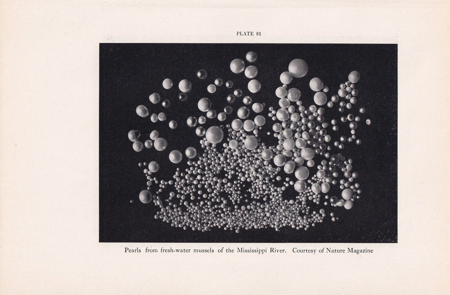 1934 PEARLS Print - Original Vintage Print - Pearls Decor - Sea Wall Art - Sea Decor - 89 Years Old - 9.15 x 6 Inches