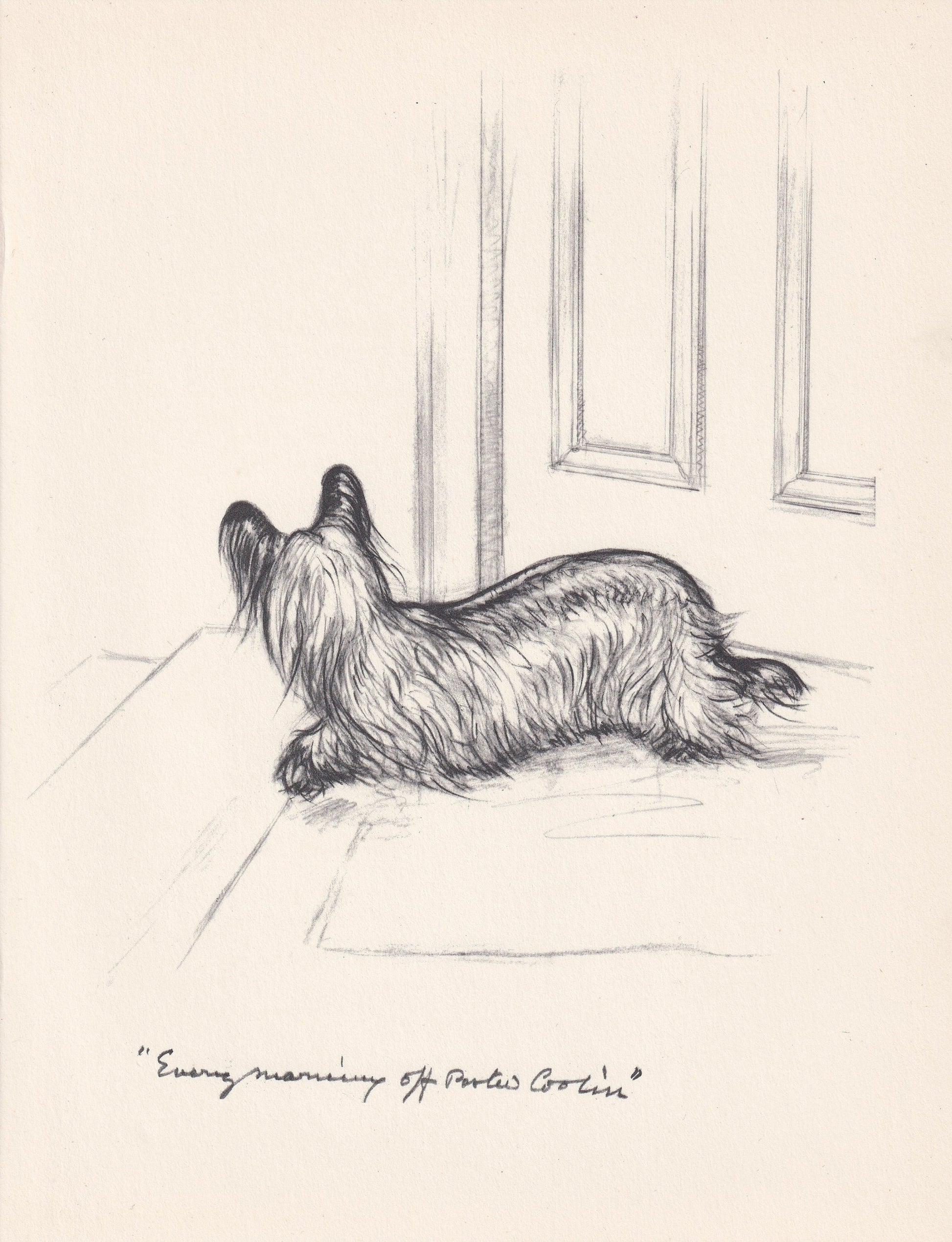 1936 SKYE TERRIER DOG Print - Original Antique Dog Print - Vernon Stokes - Dog Wall Art - Dog Gift - 11 x 8.4 Inches