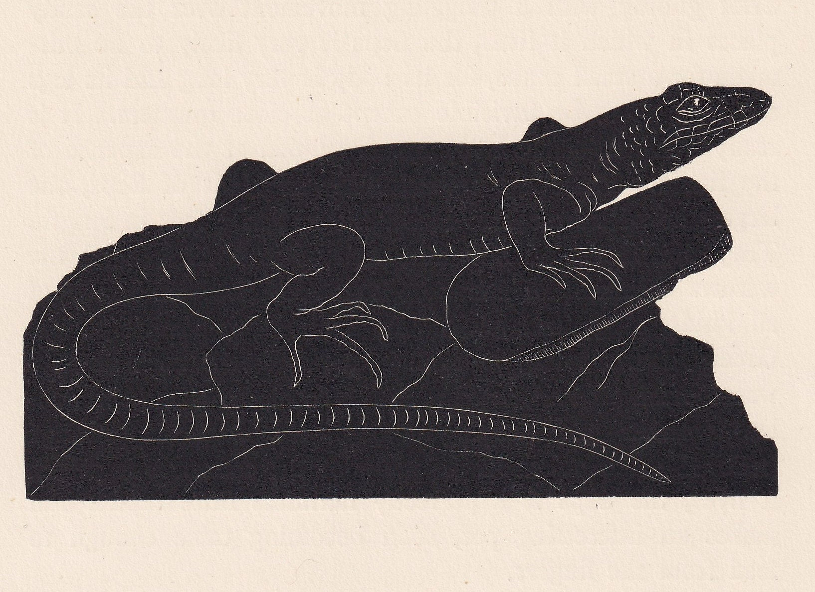 1929 GREEN LIZARD Print Wood Engraving - Lizard Wall Art - Lizard Wood Engraving - Antique Animal Print - 95 Years Old - 7.25 x 8 Inches