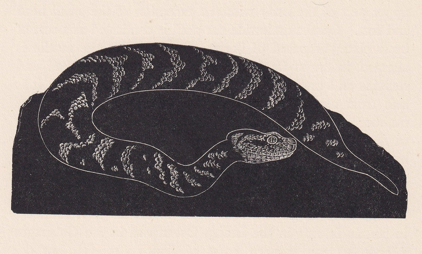 1929 PUFF ADDER SNAKE Print Wood Engraving - Snake Wall Art - Snake Wood Engraving - Antique Animal Print - 95 Years Old - 7.25 x 8 Inches
