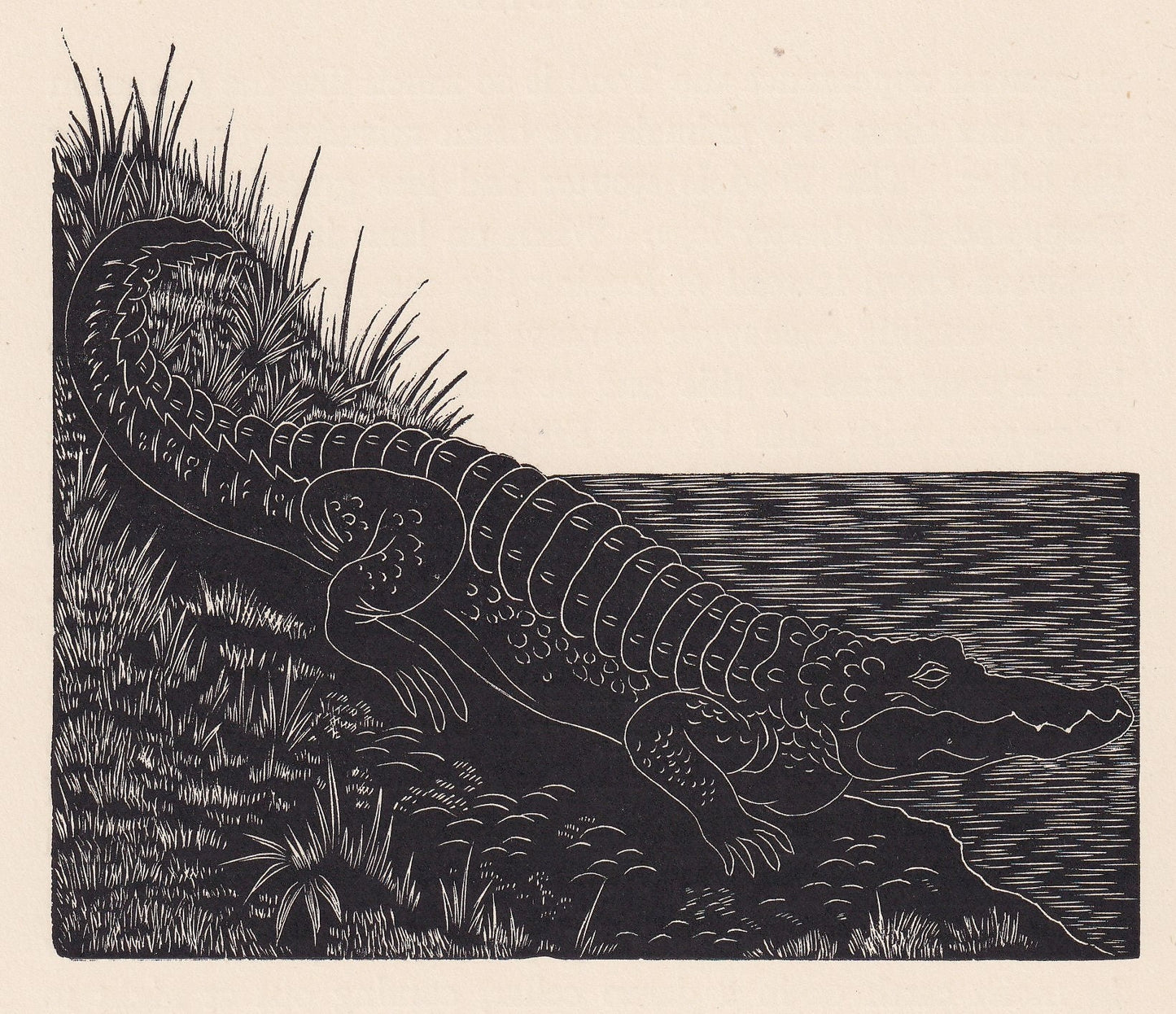 1929 CROCODILE Print Wood Engraving - Crocodile Wall Art - Lizard Engraving - Antique Animal Print - 95 Years Old - 7.25 x 8 Inches