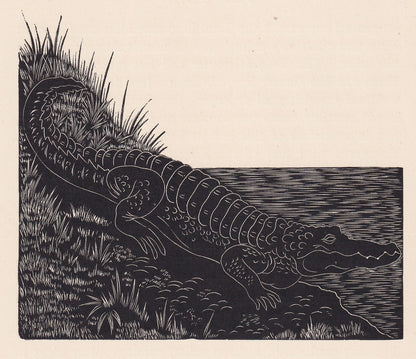 1929 CROCODILE Print Wood Engraving - Crocodile Wall Art - Lizard Engraving - Antique Animal Print - 95 Years Old - 7.25 x 8 Inches