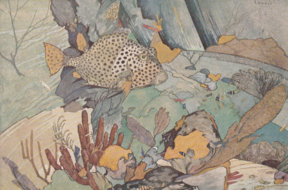 1934 SPOTTED TRUNKFISH Print - Original Vintage Print - Sea Life Decor - Sea Wall Art - Tropical Fish Art - 89 Years Old - 9.
