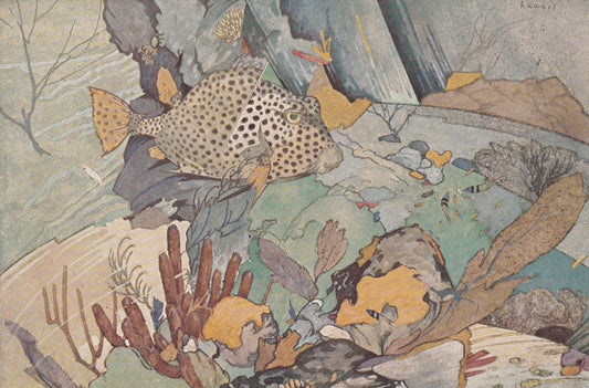 1934 SPOTTED TRUNKFISH Print - Original Vintage Print - Sea Life Decor - Sea Wall Art - Tropical Fish Art - 89 Years Old - 9.