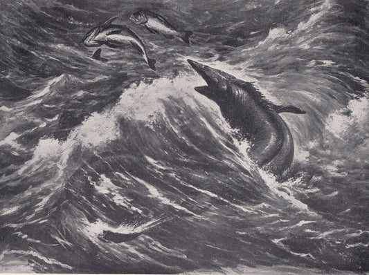 1934 TYLOSAURUS Print - Original Vintage Print - Dinosaur Wall Art - Tylosaurus Wall Art - Paleoart - 89 Years Old - 9.15 x 6