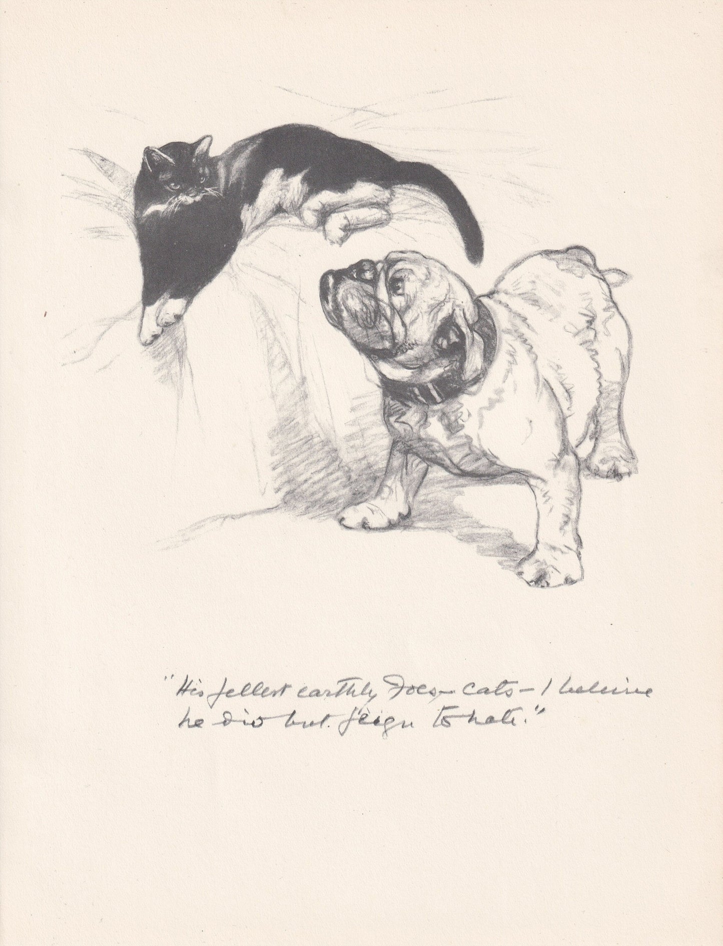 1936 BULLDOG & CAT Print - Original Antique Dog Print - Vernon Stokes - Dog Wall Art - Dog Gift - 11 x 8.4 Inches