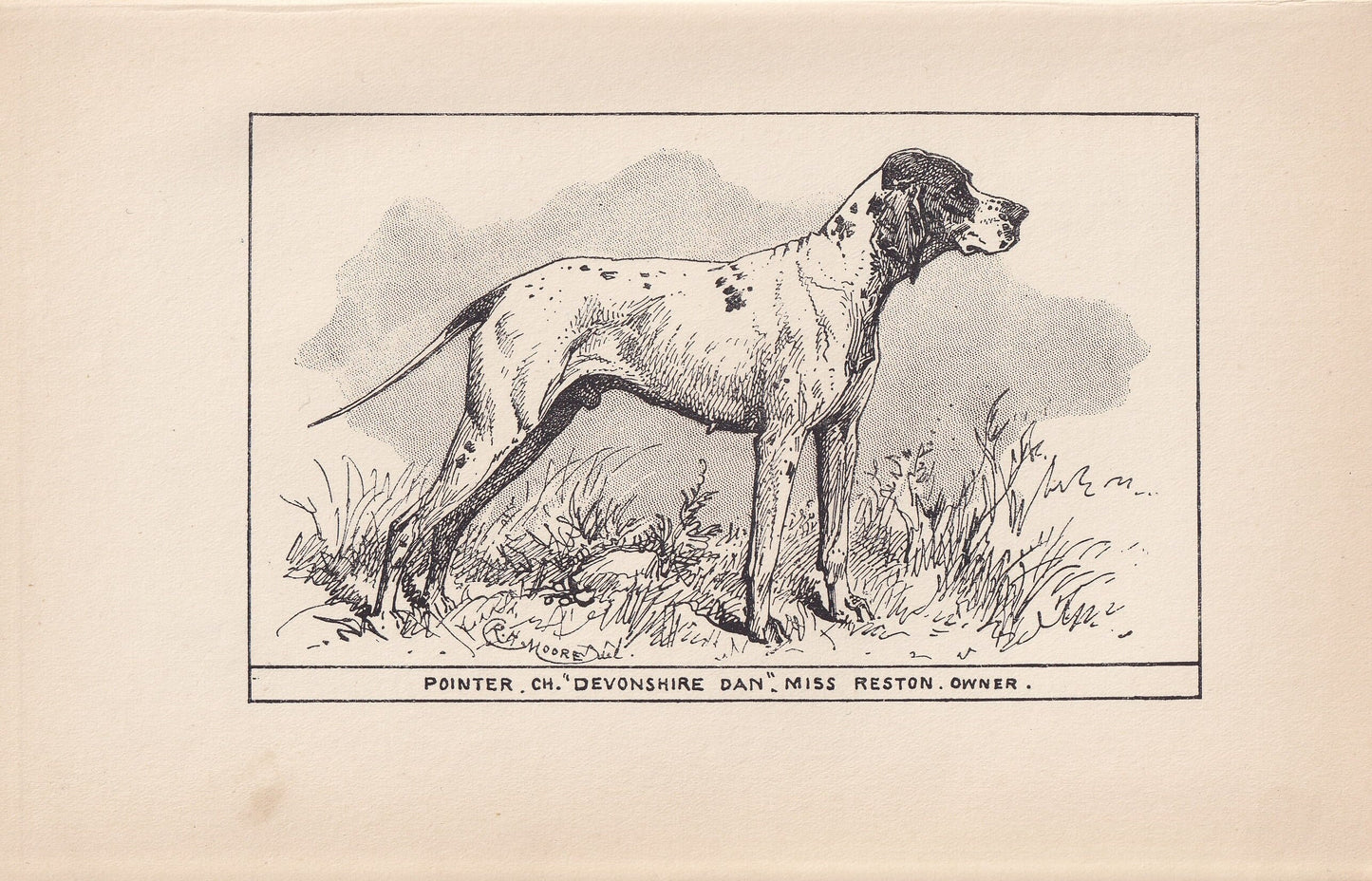 1900 POINTER DOG Print - Original Antique Dog Print - R. H. Moore - Dog Wall Art - Dog Lover - Dog Gift - 8.6 x 5.6 Inches