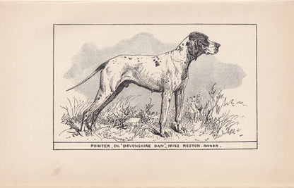 1900 POINTER DOG Print - Original Antique Dog Print - R. H. Moore - Dog Wall Art - Dog Lover - Dog Gift - 8.6 x 5.6 Inches