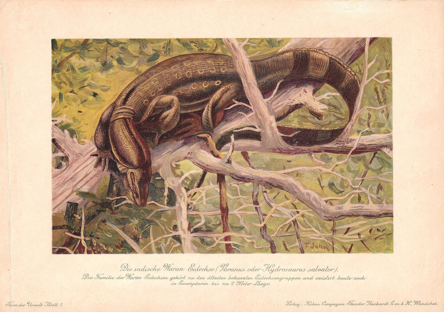 1902 HYDROSAURUS SALVATOR DINOSAUR Print - Antique Dinosaur Print - Paleoart - Dinosaur Wall Art - 121 Years Old - 10.5 x 7.5