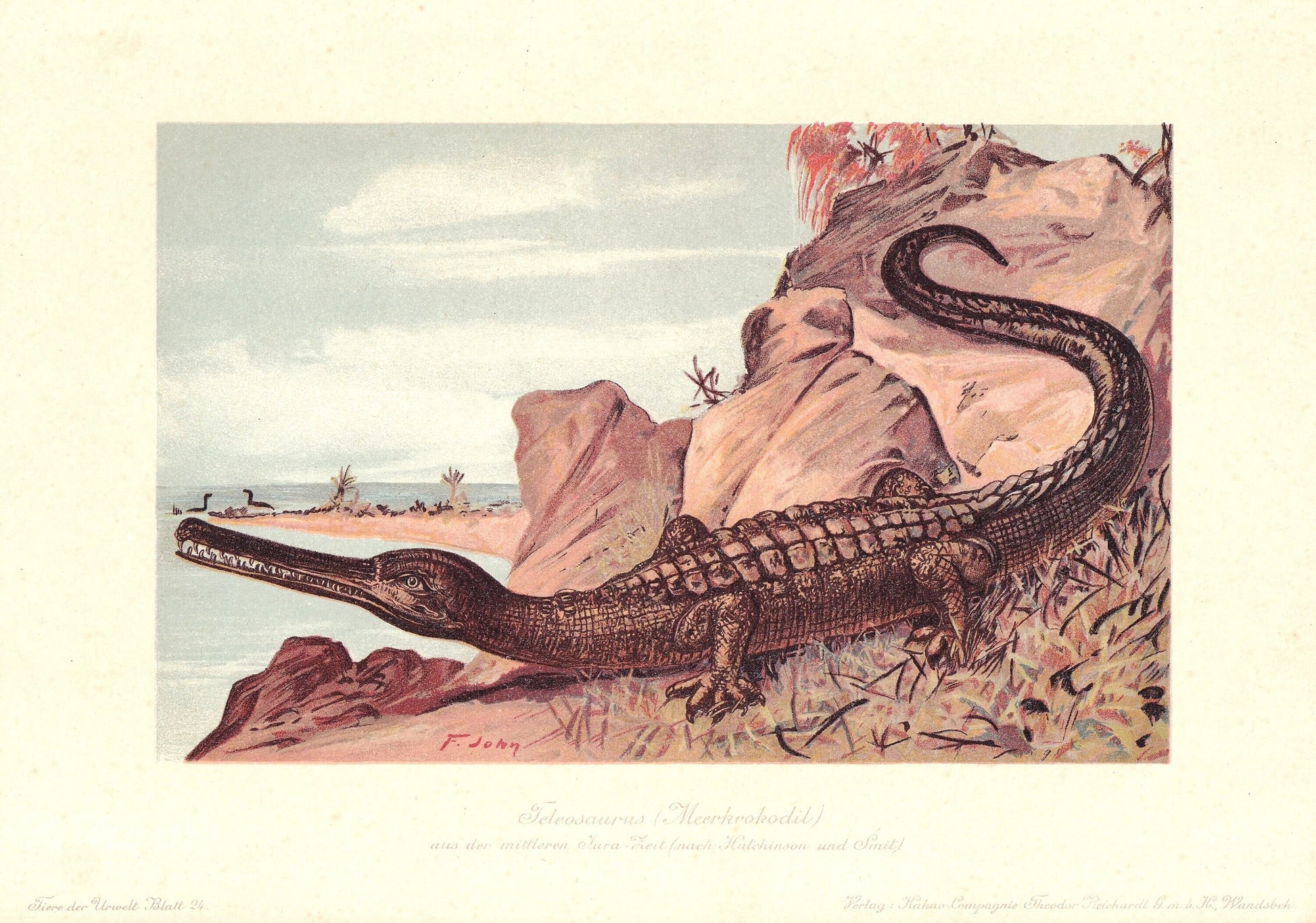 1902 TELEOSAURUS Print - Jurassic Crocodile - Paleoart - Prehistoric Animals Wall Art - 121 Years Old - 10.5 x 7.5 Inches