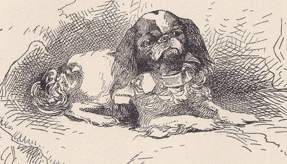 1900 KING CHARLES SPANIEL Dog Print - Original Antique Dog Print - R. H. Moore - Dog Wall Art - Dog Lover - Dog Gift - 8.6 x 