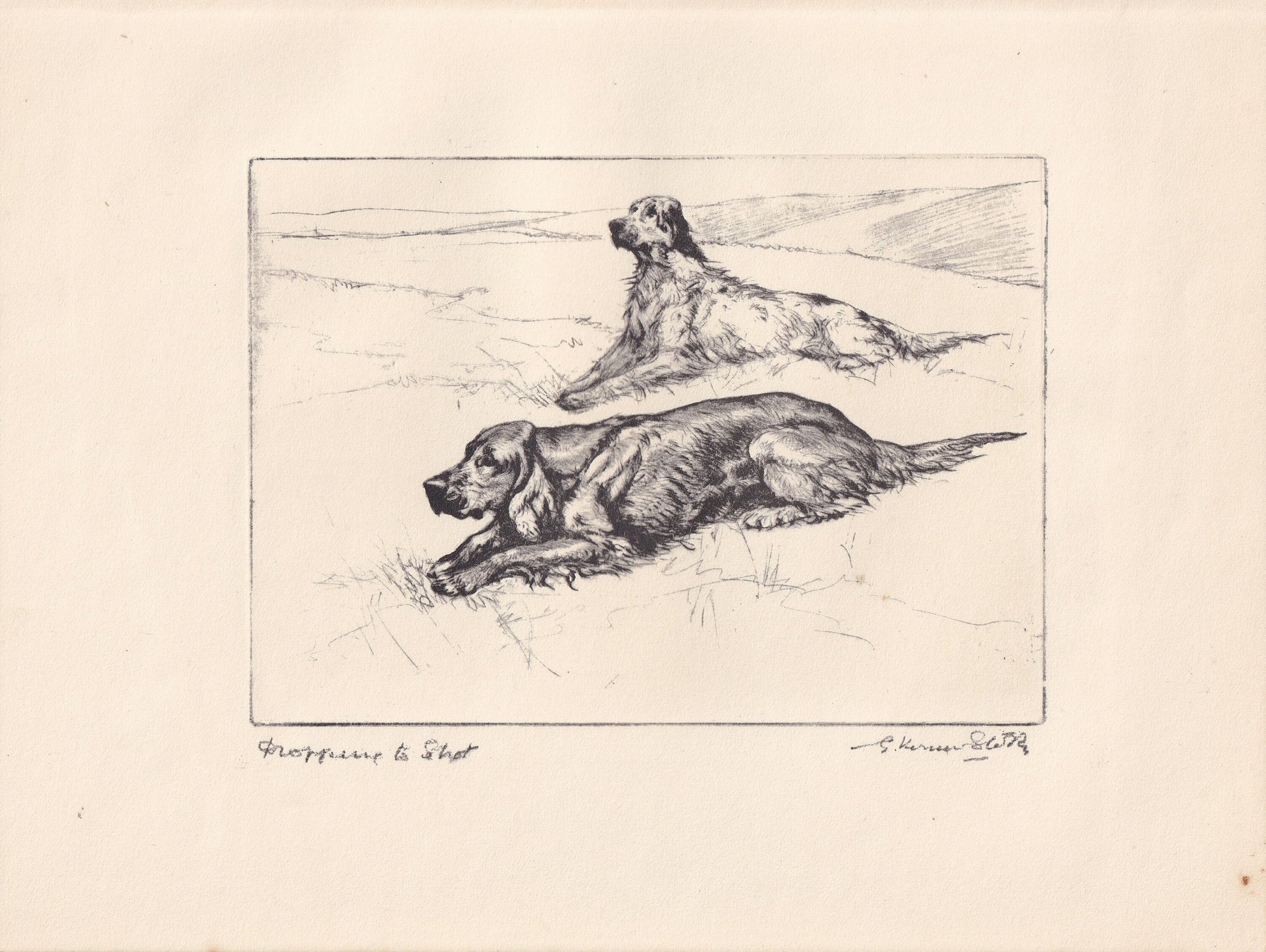 1930 ENGLISH & IRISH SETTER Dog Print - Original Antique Dog Print - Vernon Stokes - Dog Wall Art - Dog Gift - 11 x 8.25 Inch