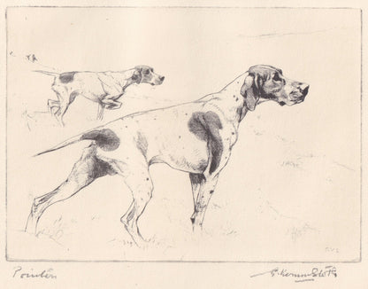 1930 POINTER DOG Print - Original Antique Dog Print - Vernon Stokes - Dog Wall Art - Dog Gift - 11 x 8.25 Inches