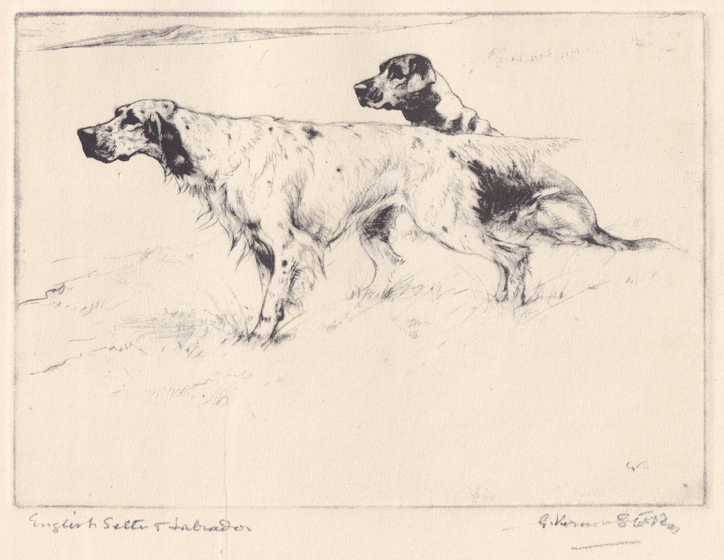 1930 LABRADOR & ENGLISH SETTER Dog Print - Original Antique Dog Print - Vernon Stokes - Dog Wall Art - Dog Gift - 11 x 8.25 I