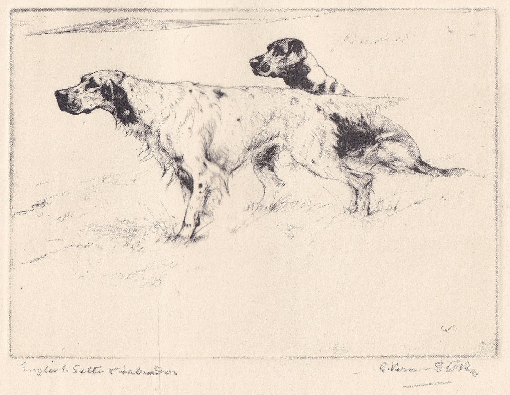 1930 LABRADOR & ENGLISH SETTER Dog Print - Original Antique Dog Print - Vernon Stokes - Dog Wall Art - Dog Gift - 11 x 8.25 I