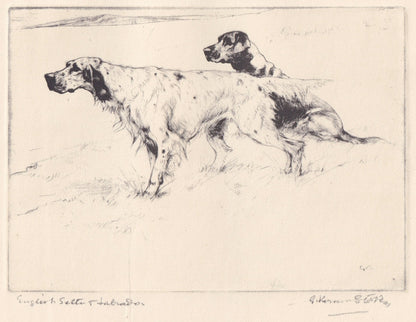 1930 LABRADOR & ENGLISH SETTER Dog Print - Original Antique Dog Print - Vernon Stokes - Dog Wall Art - Dog Gift - 11 x 8.25 I