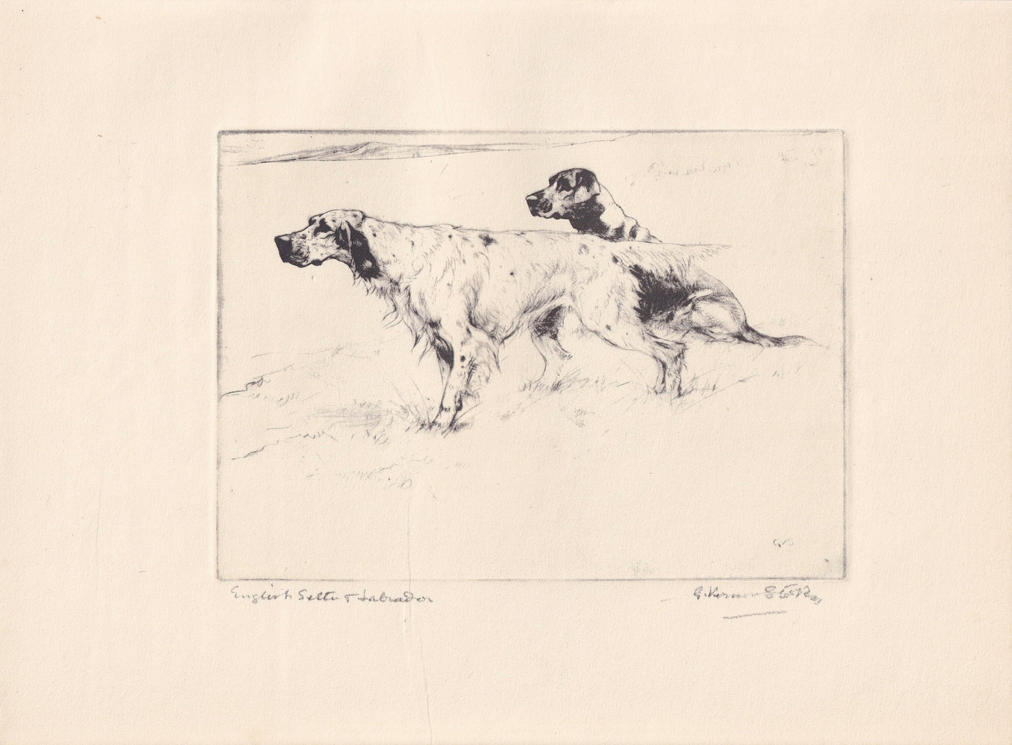 1930 LABRADOR & ENGLISH SETTER Dog Print - Original Antique Dog Print - Vernon Stokes - Dog Wall Art - Dog Gift - 11 x 8.25 I