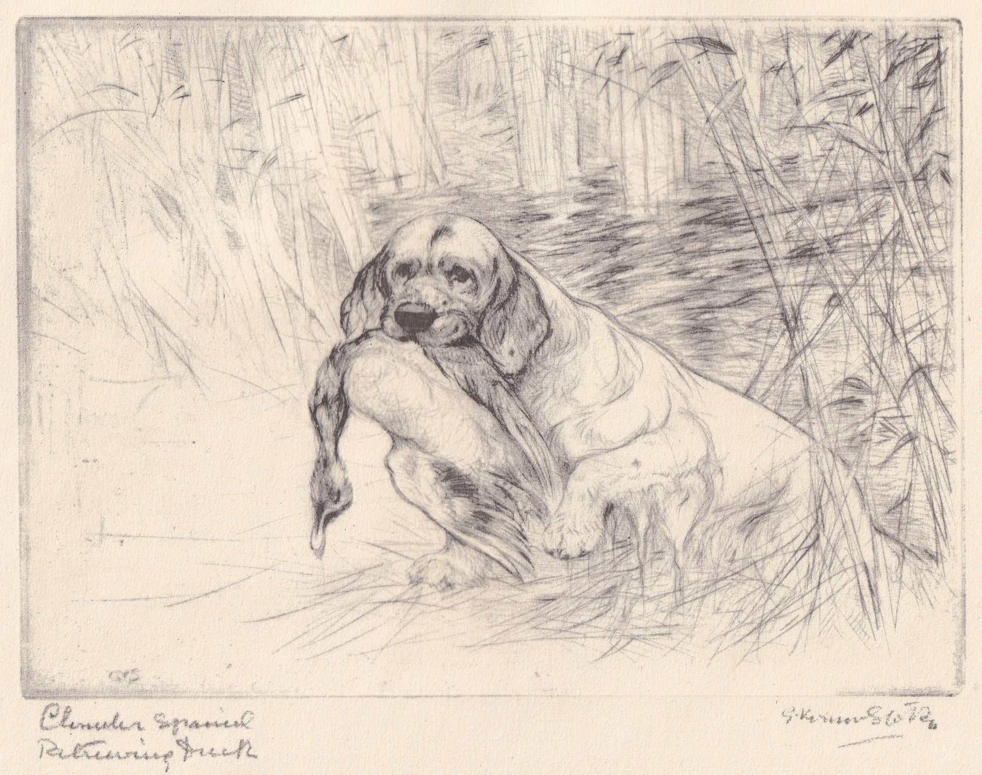 1930 CLUMBER SPANIEL DOG Print - Original Antique Dog Print - Vernon Stokes - Dog Wall Art - Dog Gift - 11 x 8.25 Inches
