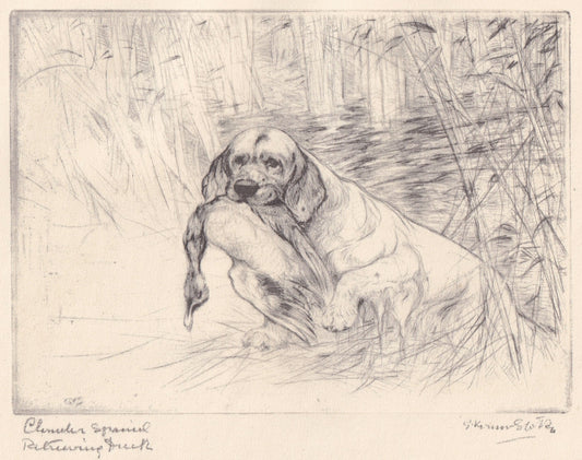 1930 CLUMBER SPANIEL DOG Print - Original Antique Dog Print - Vernon Stokes - Dog Wall Art - Dog Gift - 11 x 8.25 Inches