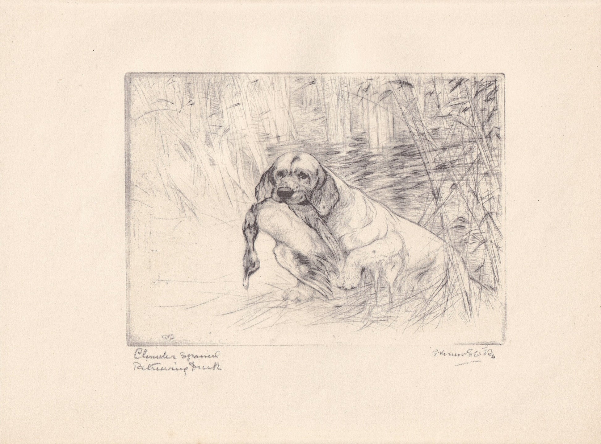 1930 CLUMBER SPANIEL DOG Print - Original Antique Dog Print - Vernon Stokes - Dog Wall Art - Dog Gift - 11 x 8.25 Inches