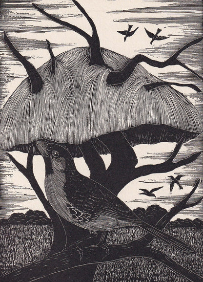 1930 SOCIABLE WEAVER BIRD Print Wood Engraving - Bird Wall Art - Bird Engraving - Antique Bird Print - 94 Years Old - 5.25 x 