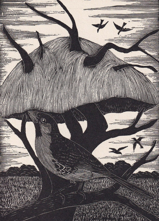 1930 SOCIABLE WEAVER BIRD Print Wood Engraving - Bird Wall Art - Bird Engraving - Antique Bird Print - 94 Years Old - 5.25 x 