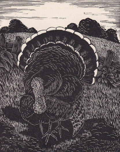1930 TURKEY BIRD Print Wood Engraving - Bird Wall Art - Bird Engraving - Antique Bird Print - 94 Years Old - 5.25 x 7.75 Inch