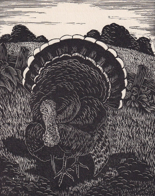 1930 TURKEY BIRD Print Wood Engraving - Bird Wall Art - Bird Engraving - Antique Bird Print - 94 Years Old - 5.25 x 7.75 Inch