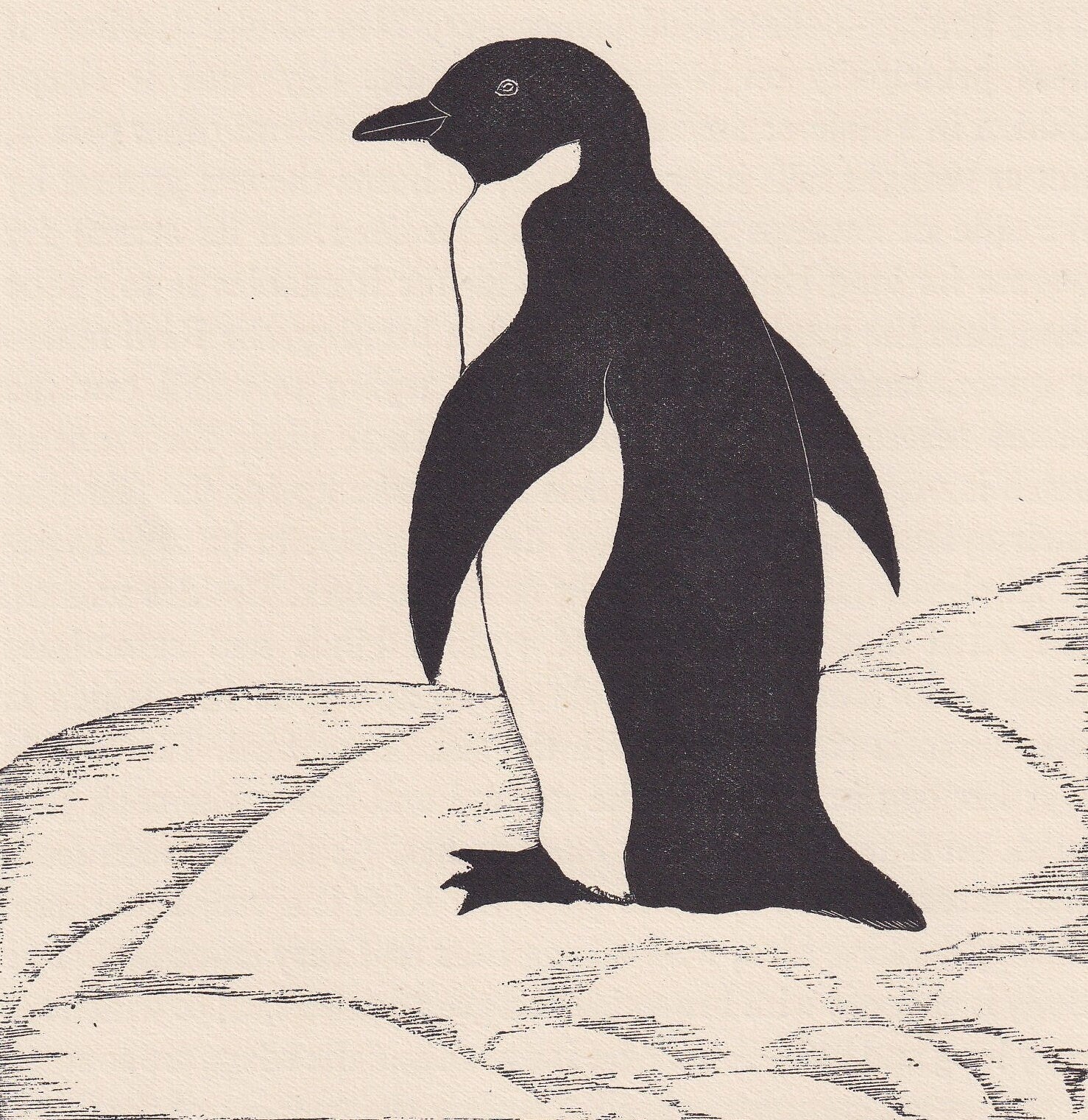 1929 PENGUIN BIRD Print Wood Engraving - Bird Wall Art - Christmas Decor - Antique Animal Print - 95 Years Old - 7.15 x 7.75 