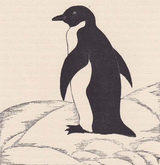 1929 PENGUIN BIRD Print Wood Engraving - Bird Wall Art - Christmas Decor - Antique Animal Print - 95 Years Old - 7.15 x 7.75 