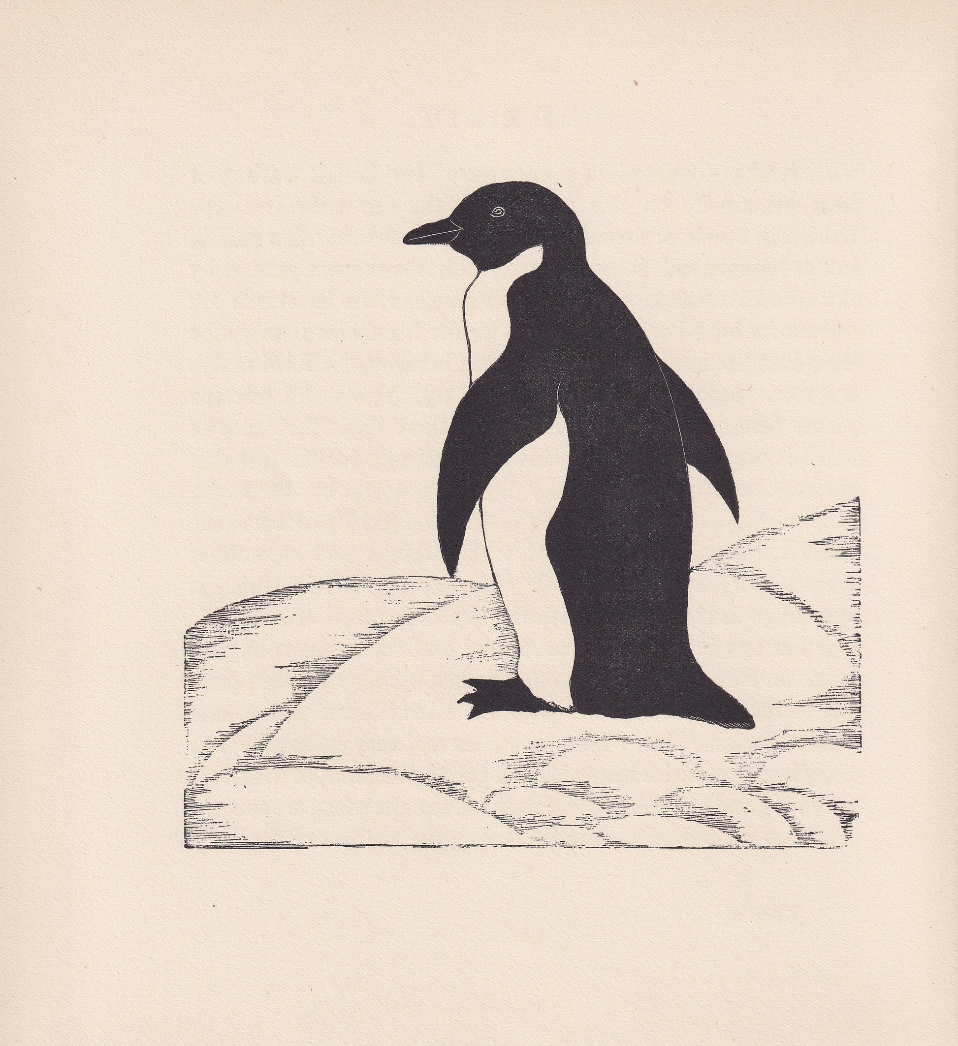 1929 PENGUIN BIRD Print Wood Engraving - Bird Wall Art - Christmas Decor - Antique Animal Print - 95 Years Old - 7.15 x 7.75 