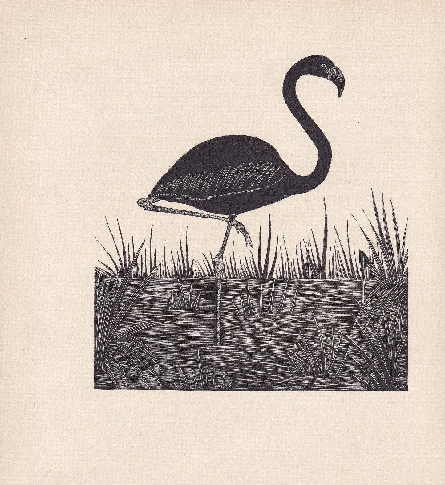 1929 FLAMINGO BIRD Print Wood Engraving - Bird Wall Art - Bird Wood Engraving - Antique Animal Print - 95 Years Old - 7.15 x 