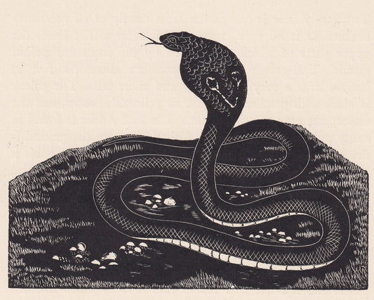 1929 COBRA SNAKE Print Wood Engraving - Cobra Wall Art - Snake Engraving - Antique Animal Print - 95 Years Old - 7.15 x 7.75 