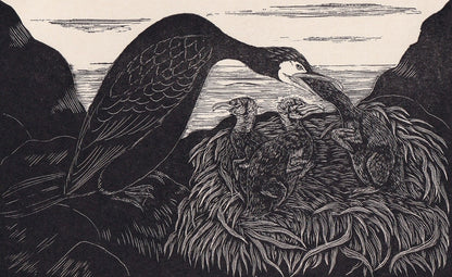 1930 CORMORANT & YOUNG Print Wood Engraving - Bird Wall Art - Bird Engraving - Antique Bird Print - 94 Years Old - 5.25 x 7.7