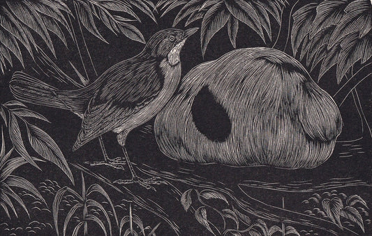 1930 OVENBIRD Print Wood Engraving - Bird Wall Art - Bird Engraving - Antique Bird Print - 94 Years Old - 5.25 x 7.75 Inches