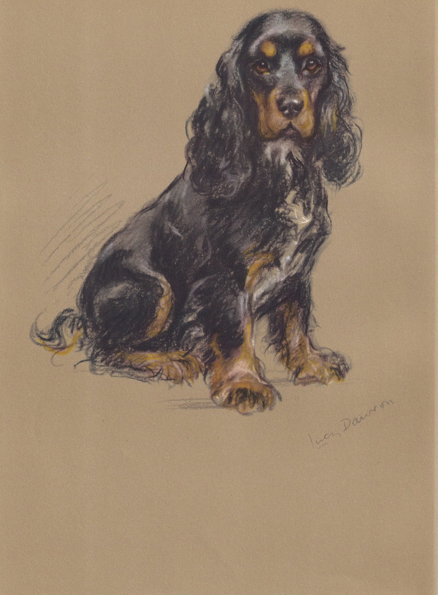 1946 SPRINGER SPANIEL DOG Print - Lucy Dawson - Spaniel Art - Original Antique Dog Print - Dog Wall Art - Dog Gift - 7 x 9.5 Inches
