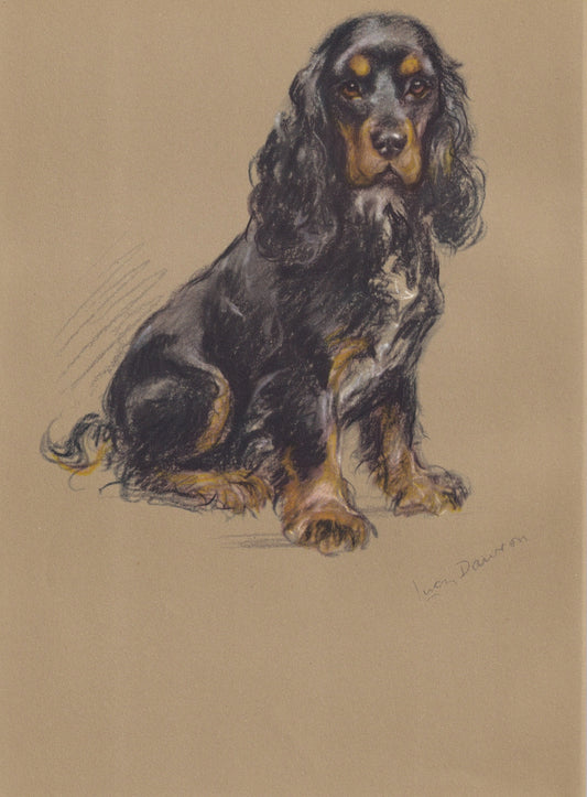 1946 SPRINGER SPANIEL DOG Print - Lucy Dawson - Spaniel Art - Original Antique Dog Print - Dog Wall Art - Dog Gift - 7 x 9.5 Inches