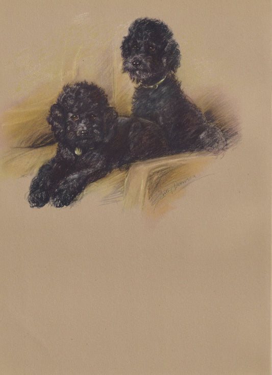 1946 POODLE DOG Print - Lucy Dawson - Poodle Art - Original Antique Dog Print - Dog Wall Art - Dog Gift - 7 x 9.5 Inches