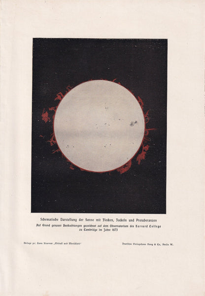 1900 SOLAR PROMINENCE Print - Solar Filament - Sun Print - Astronomy Print - Original Vintage Print - 124 Years Old - 7.75 x 