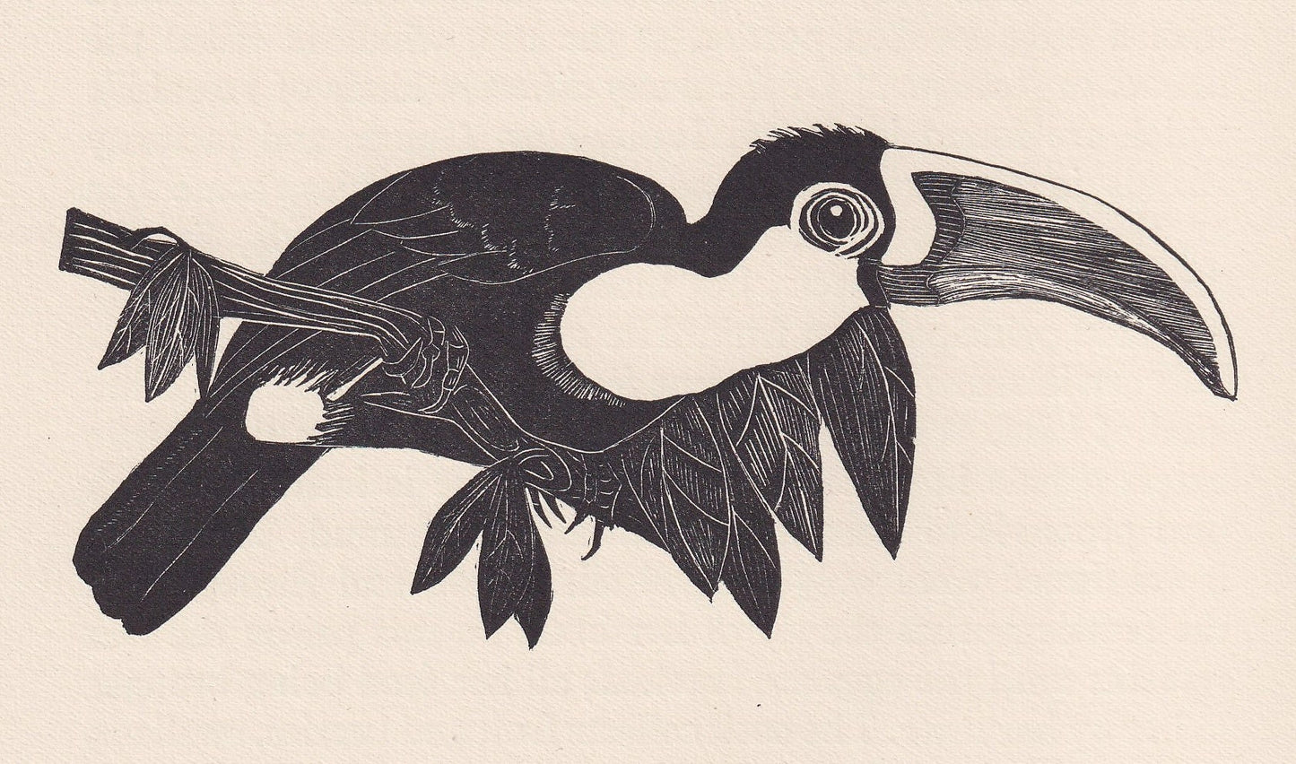 1929 TOUCAN Print Wood Engraving - Toucan Wall Art - Animal Wood Engraving - Antique Animal Print - 95 Years Old - 7.25 x 8 Inches