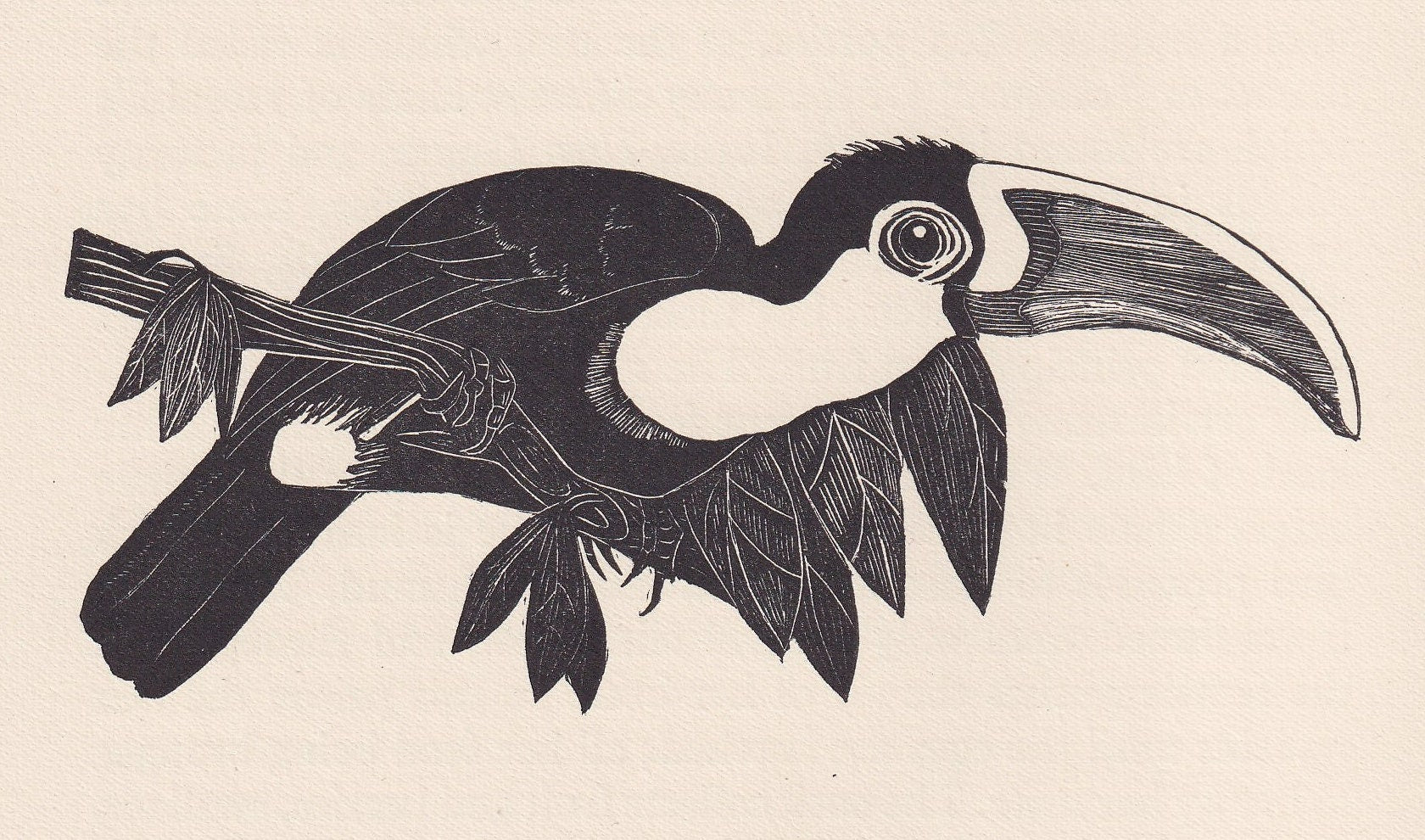 1929 TOUCAN Print Wood Engraving - Toucan Wall Art - Animal Wood Engraving - Antique Animal Print - 95 Years Old - 7.25 x 8 Inches
