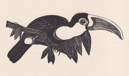 1929 TOUCAN Print Wood Engraving - Toucan Wall Art - Animal Wood Engraving - Antique Animal Print - 95 Years Old - 7.25 x 8 Inches