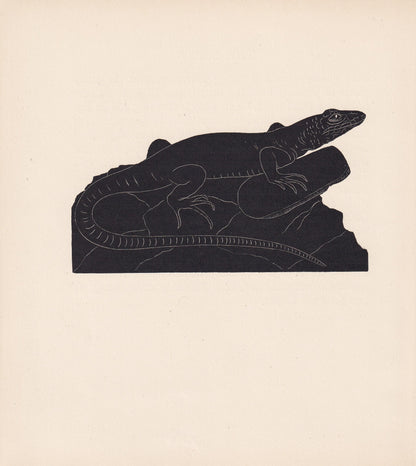 1929 GREEN LIZARD Print Wood Engraving - Lizard Wall Art - Lizard Wood Engraving - Antique Animal Print - 95 Years Old - 7.25 x 8 Inches