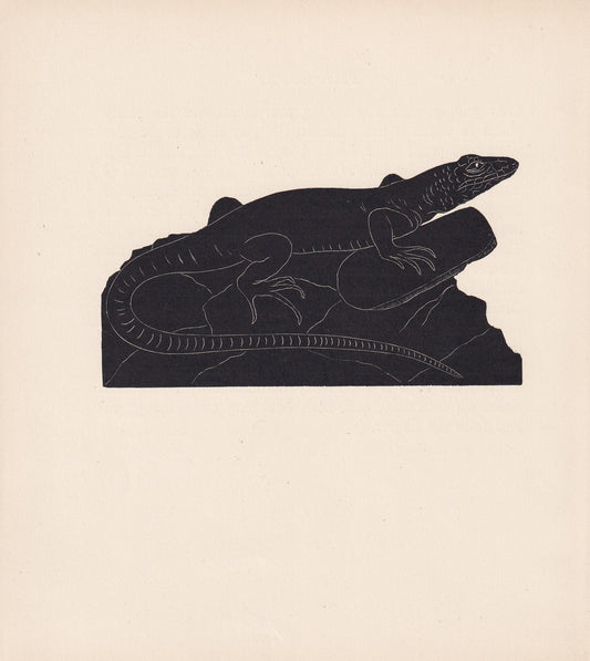 1929 GREEN LIZARD Print Wood Engraving - Lizard Wall Art - Lizard Wood Engraving - Antique Animal Print - 95 Years Old - 7.25 x 8 Inches