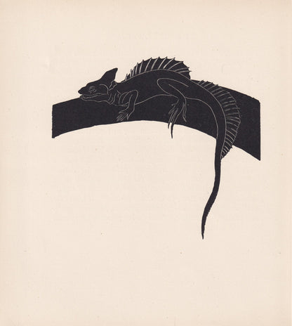 1929 BASILISK LIZARD Print Wood Engraving - Lizard Wall Art - Lizard Wood Engraving - Antique Animal Print - 95 Years Old - 7.25 x 8 Inches